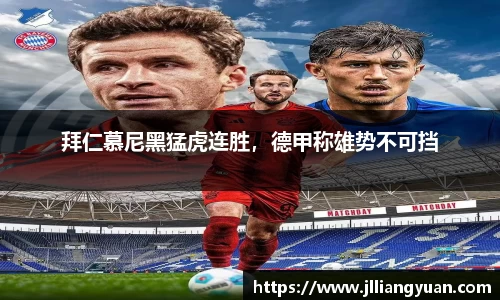 3377体育全站